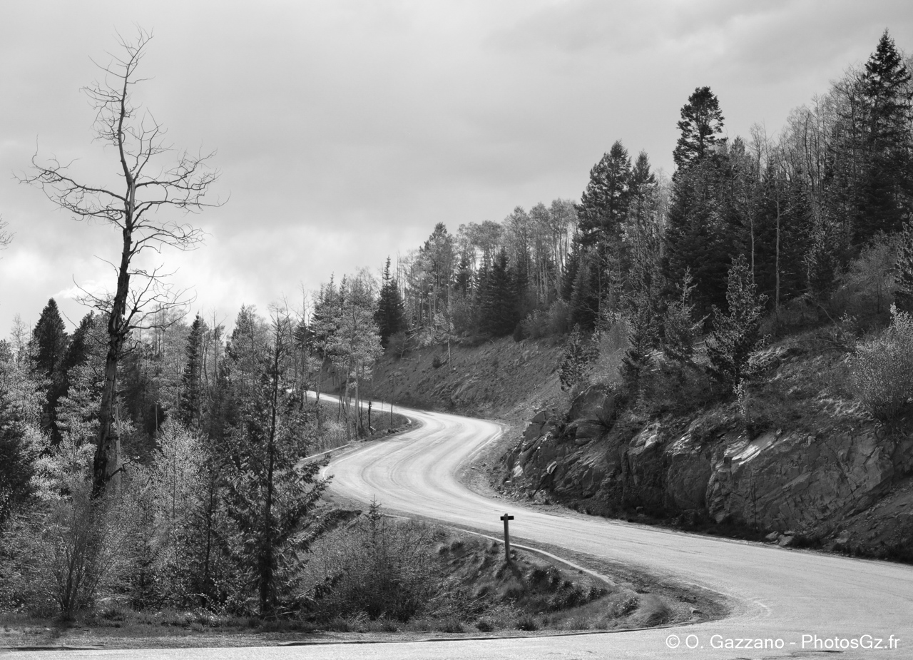 En route vers la foret de Santa Fé !
