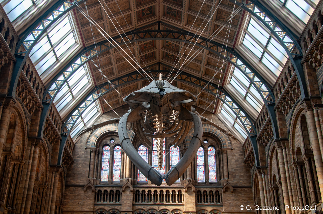 National History Museum, Londres