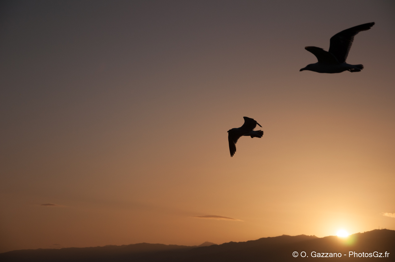 Coucher de soleil sur la plage..Los Angeles, États-Unis - 26 mai 2012