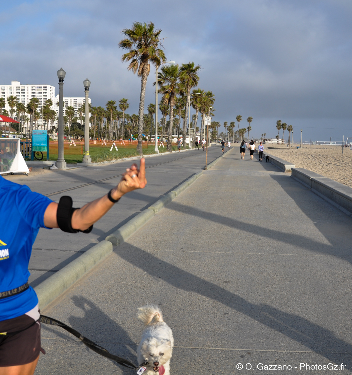 Sans commentaire / Los Angeles le matin