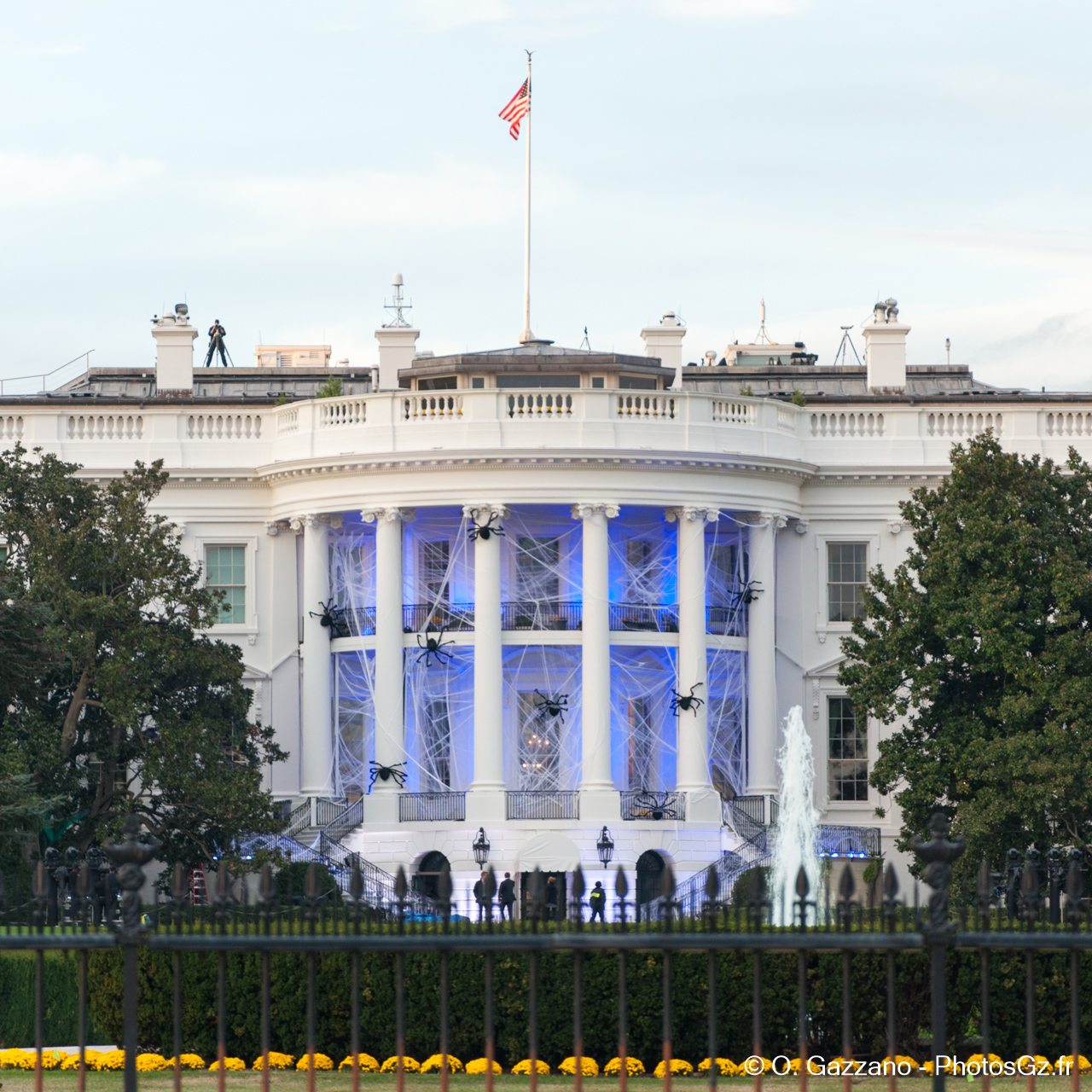 Strange guests at the White House