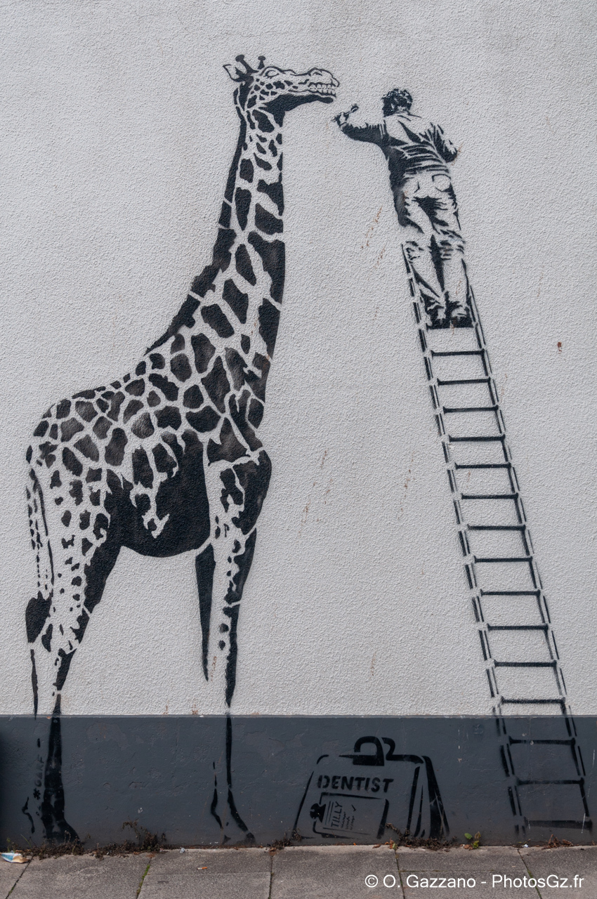 Exmouth (Angleterre)