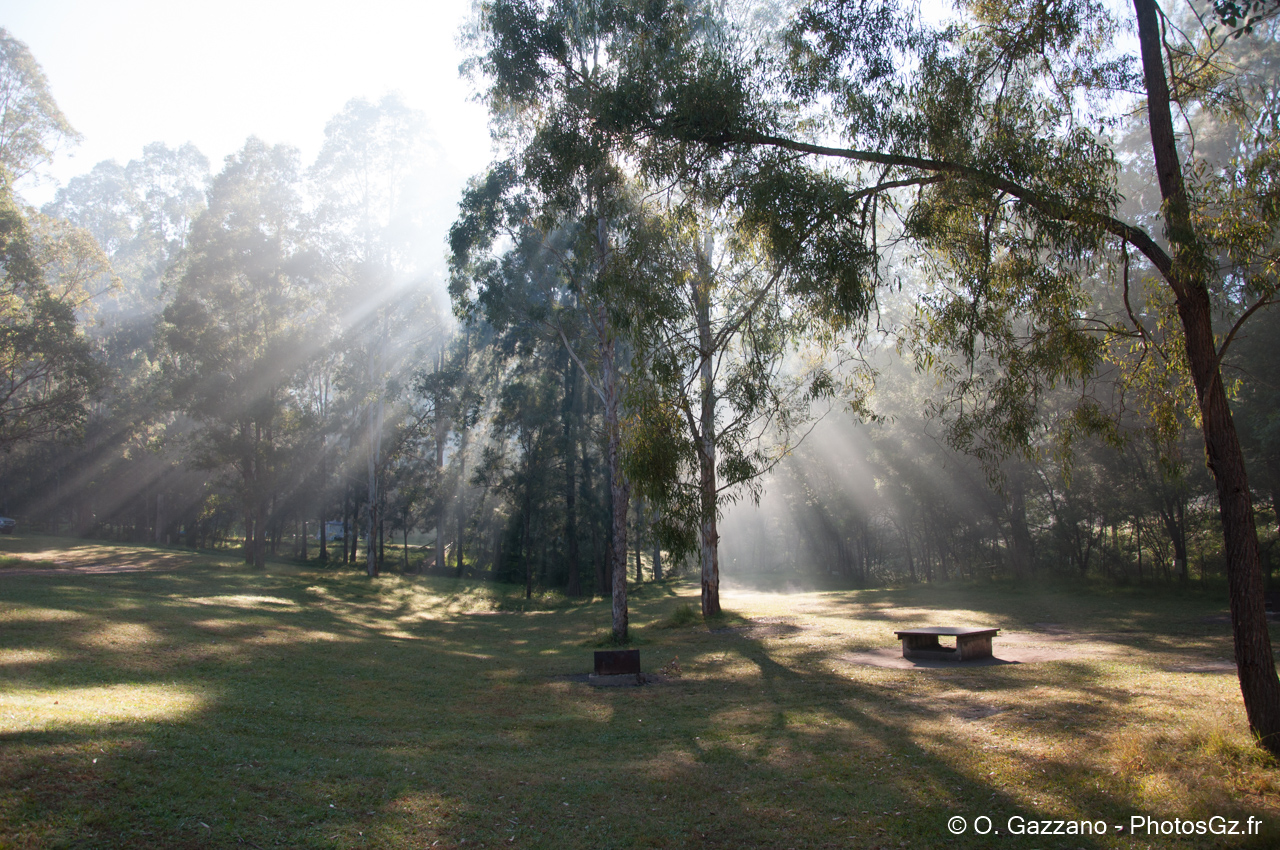 Photo matinale aux Blue mountains / Australie