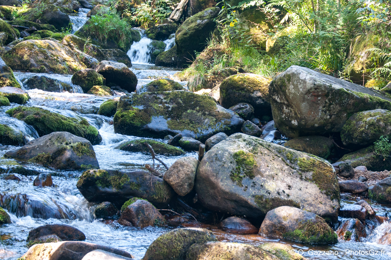 Ruisseau de Pierre Brune, Loire
