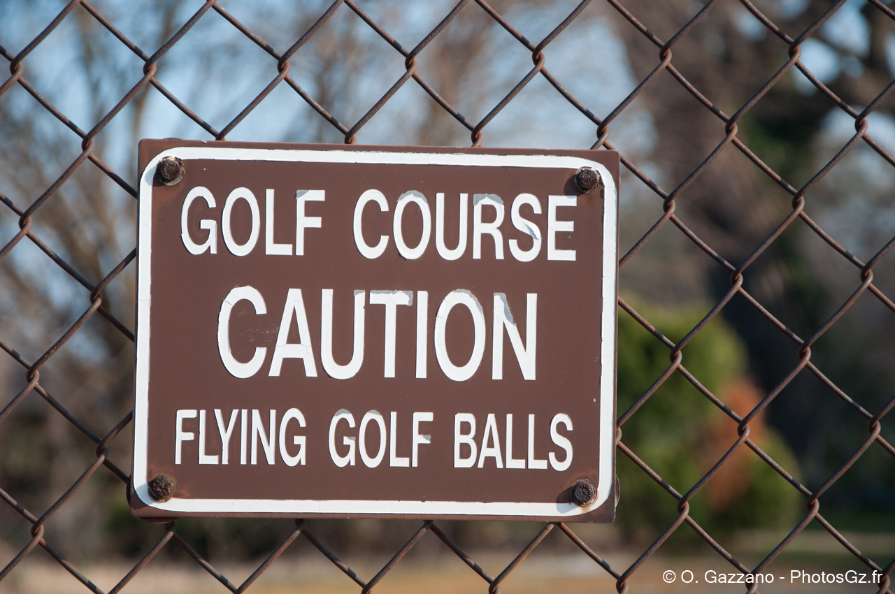 Attention à la balle... de golf ! (Washington DC)