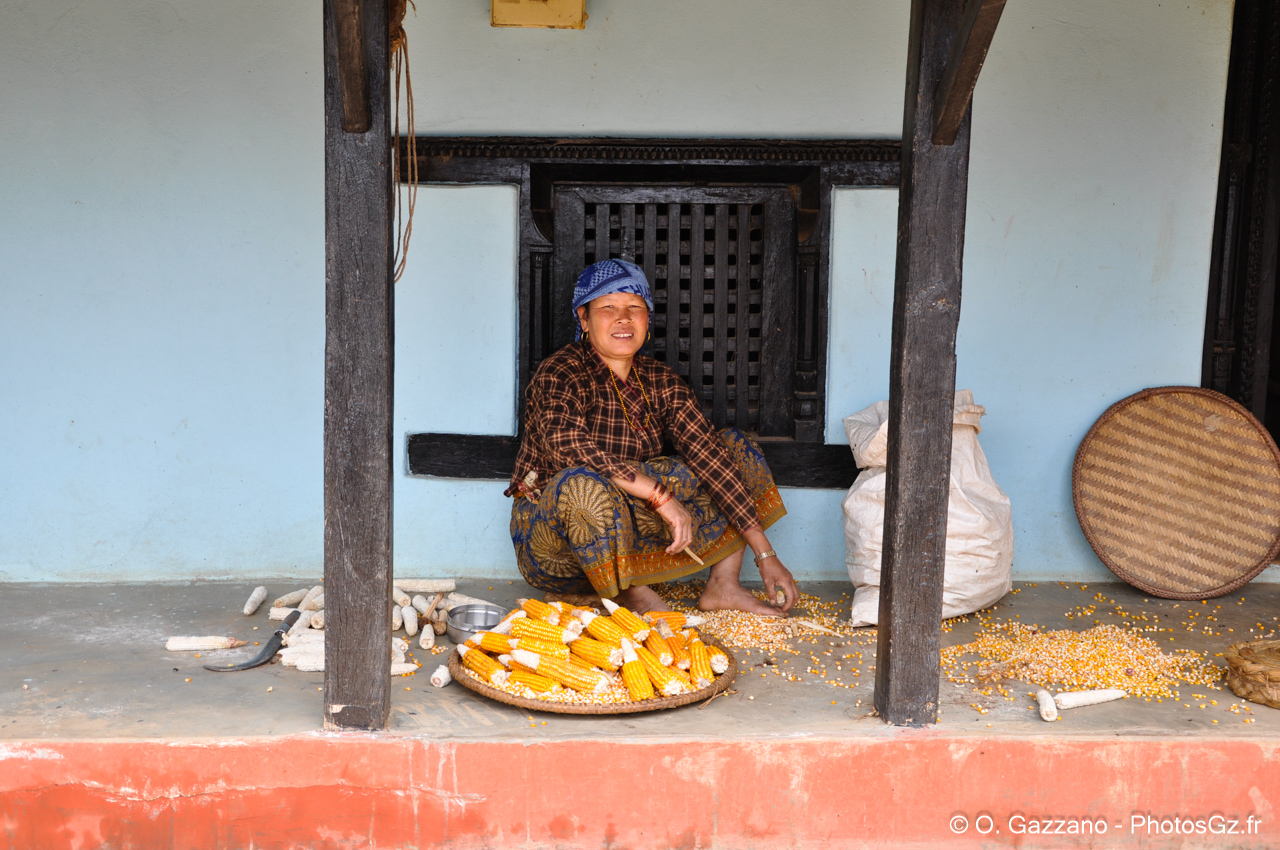Préparation du maïs/ Népal