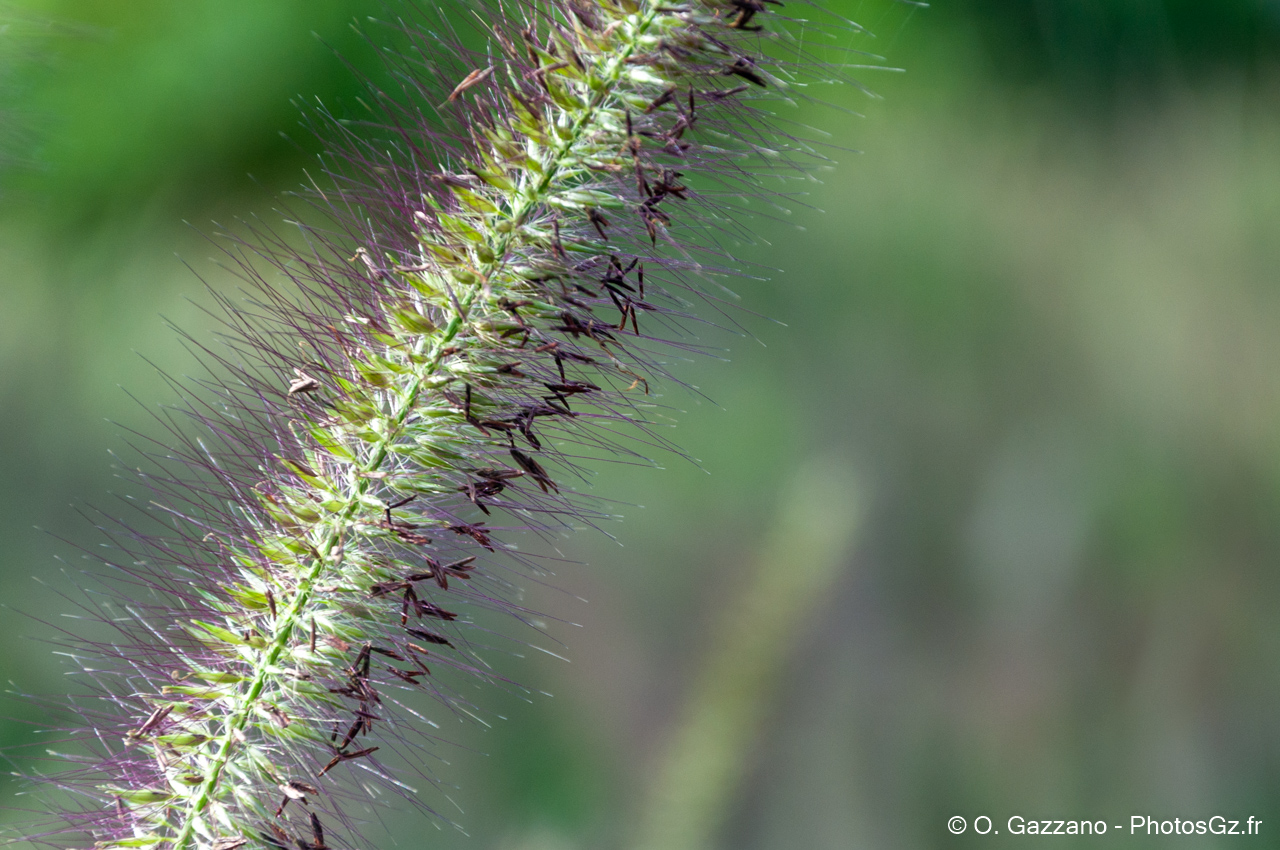 Domaine départemental de la Vallée-aux-Loups